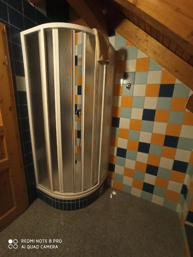 Penzion Avalanche Zelezna Ruda Bagian luar foto