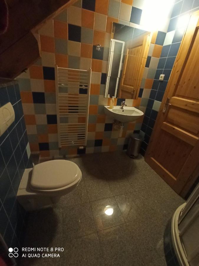 Penzion Avalanche Zelezna Ruda Bagian luar foto